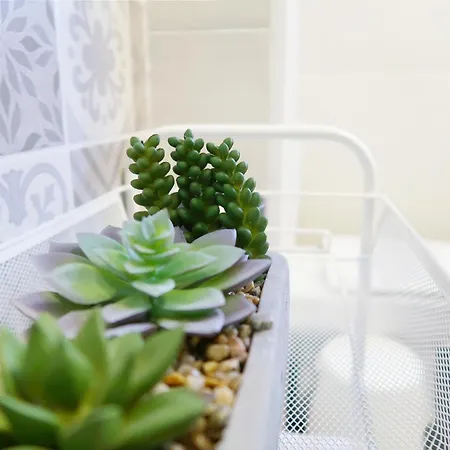 Apartment Triana House